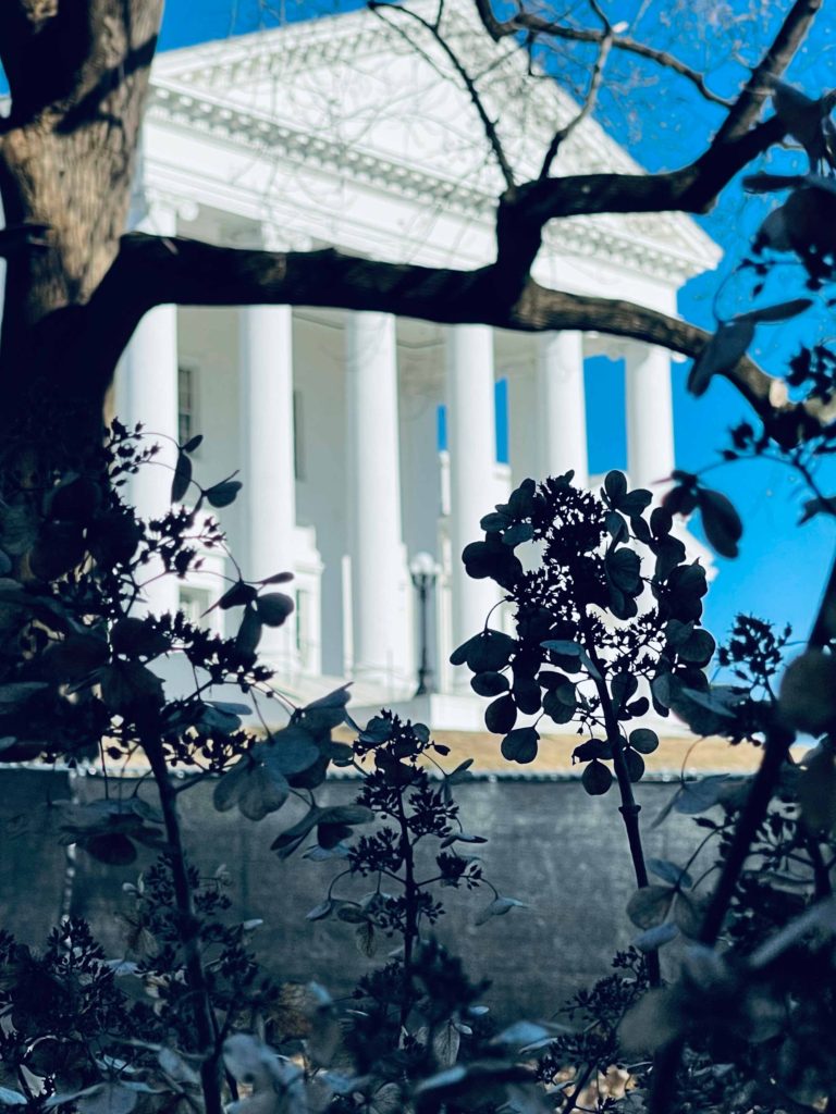 Home The Commission on VASAP